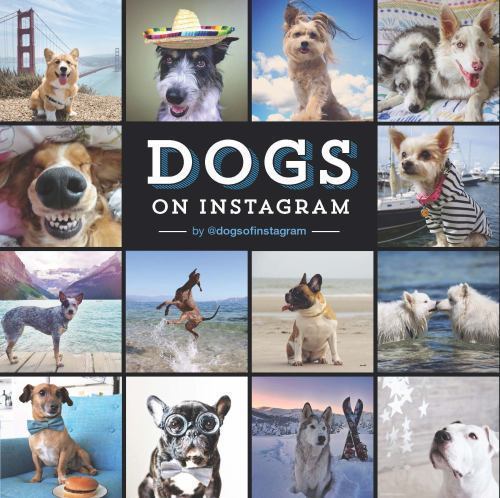 Dogs on Instagram – 9781452151977, dogsofinstagram, hardcover