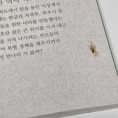 „한국사 뛰어넘기” (Leaping Over Korean History) – From Yeolda (열다) – Volumes 2, 3, & 6