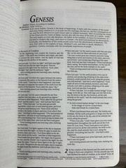 Holy Bible NLT New Living Translation Leather 2007 Tyndale Green
