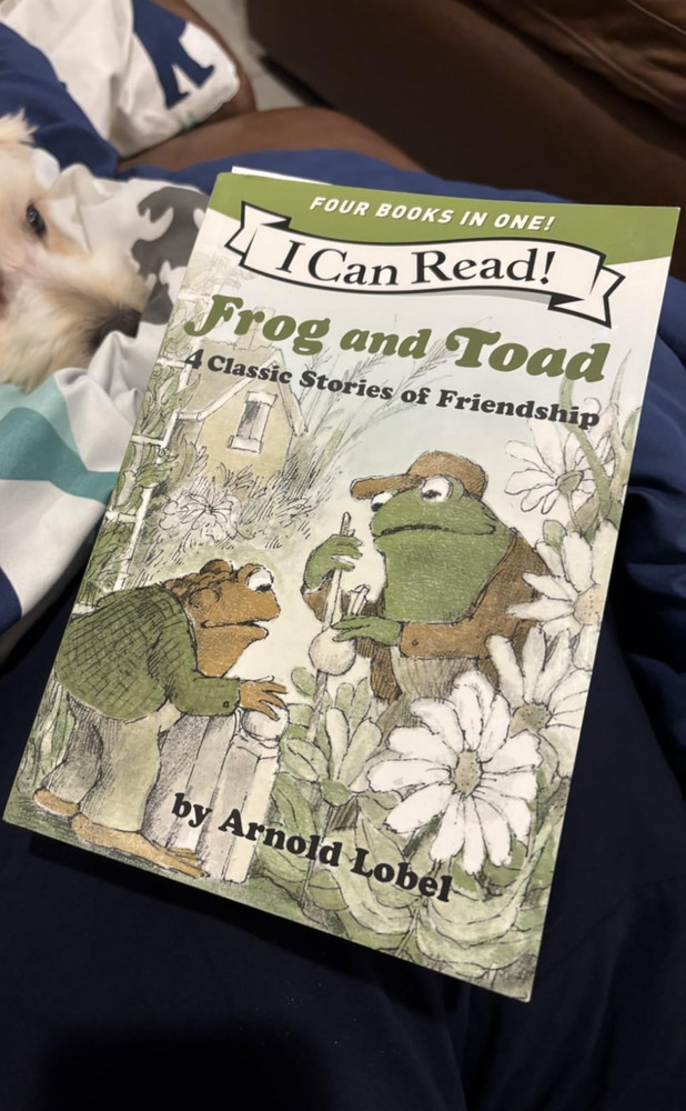 Kids Paperback Book Frog and Toad 4 Stories Ages 4-8 Level 2 Reading Set New USA