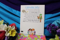 Roaring Brook Press I Wonder Why Questions Children’s – Countries Fly Flags Book