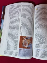 NIRV, ADVENTURES IN ODYSSEY BIBLE By Gary Locke & Sergio Cariello – Hardcover