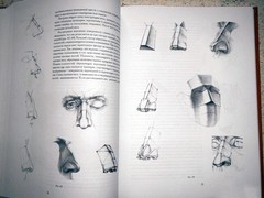 Николай Ли/Nikolay Lee The Human Head. Fundamentals of Academic Drawing/In Rus