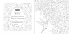 Animals: A Smithsonian Coloring Book Box Set, Smithsonian Institution, Excellent