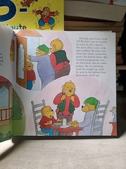 Berenstain Bears Lot 8+ Books by Stan & Jan Berenstain – Hardcover Children’s Bo