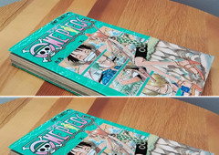 One Piece Vol. 9 One Piece in Japanese Oda dj +obi 6th printing RF1c