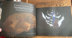 GRIZZLY 399 THE STORY OF A REMARKABLE BEAR BY SYLVIA M. MEDINA children’s Book