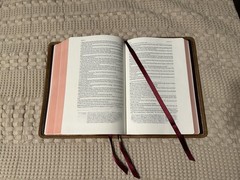 Schuyler ESV Stridon Bible – Desert Camel Calfskin Leather