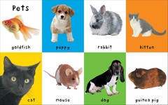 First 100 Animals: a Padded Book―Perfect for Little Hands to Hold