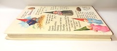 Forest GnomesHardback Book 212 Pages Illustrated By Rien Pooravliet Read Info