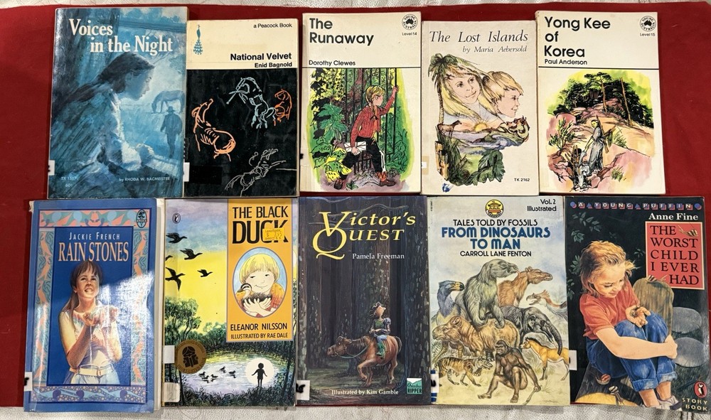 Mixed Lot Mixed Authors Teenage Vintage Retro Books Bulk Lot x 10 (Lot 1144)
