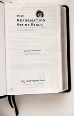 The Reformation Study Bible Condensed Edition, R.C. Sproul English ESV 2017 Good