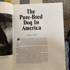 The Akc’s World Of The Purebred Dog Hardcover 1983. 344 Pages