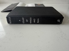 Original Cover: Court of Wings and Ruin by Sarah J Maas 1st Ed HC-DJ 2017