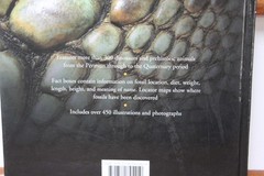 Dinosaurs & Other Prehistoric Animals Book 448 Pages, Amber Books – VGUC