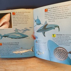 Amazing Questions & Answers Book, 512 Colorful Pages of Amazing Facts, 2004 EUC