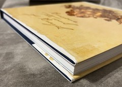 Baroque: The Soul of Brazil Affonso Romano de Sant’Anna 1st English Ed HC slide