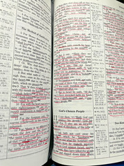 Hebrew-Greek Key Word Study Bible KJV AMG Bonded Leather Softcover Red Letter Ed