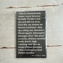 Josiah Morgan Inside the Castle Amphetamine Sulphate Press Rare Chapbook