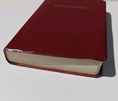 Holy Bible New Living Translation Tyndale Red Letter 1997