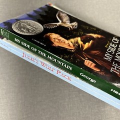 My Side of the Mountain & Julie’s Wolf Pack Jean Craighead George 2 Book Lot