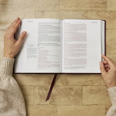 The Prayer Bible: Pray God’s Word Cover to Cover (NIV, Burgundy Leathersoft,…