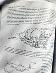 A Field Guide to Dinosaurs Coloring Book – Like New/Unused Vintage 1989 Rare PB
