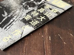 DAIDO MORIYAMA SPECIAL ISSUE 2016 VOL.818 BRUTUS MAGAZINE BOOK INCLUDE BOOKLET