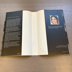 INDIA INK EDITION The God of Small Things By Arundhati Roy (1997, Hardcover)