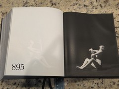 Study of Pose 1000 Poses Coco Rocha Steven Sebring Photography Art DAMAGED READ