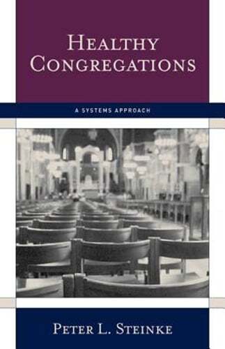 Healthy Congregations: A Systems Approach by Peter L Steinke: Used
