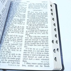 1996 HOLMAN SUPER GIANT HOLY BIBLE Imitation Black Leather Conc & Maps