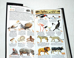 KNOPF GUIDE to EGYPT Full Color Softcover Travel Guide Alfred A. Knopf 560 Pages