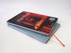 Guy de Maupassa Der Horla Schmuckausgabe des Grusel-Kla (Hardback) (UK IMPORT)