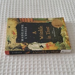 Madeleine L’Engle A Wrinkle in Time Quintet Perfect 2007 Juvenile Fiction Squar…