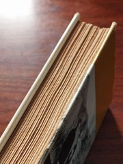 Papa Hemingway by E. Hotchner 1999 Hardcover Biography 8.7×5.9in