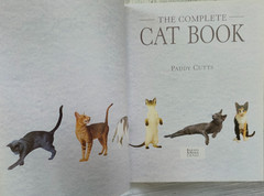 The Complete Cat Book by Paddy Cutts 1999 Barnes & Noble