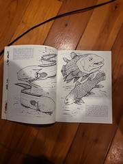Strange Creatures of the Sea Coloring Book by Llyn Hunter (1991, Trade…