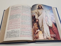 Spirit Of Liberty HOLY BIBLE King James Version Red Letter Regency Publishing