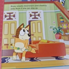 Bluey 4 Book Bundle The Creek, The Beach, Fruit Bat, Bob Bilby Hardcover