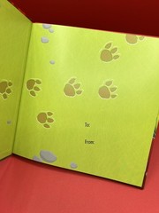 How to Catch a Dinosaur, Dinosaur Playset, How To Draw & My Special Adventure Bk