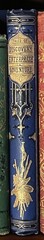 1865 Fine Victorian Cobalt Blue Gilt Decorative Binding AEG Exploration 4 Illust