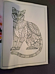 Cat Coloring -32 Spring-Inspired Designs-Relaxing & Inspirational Adult Coloring