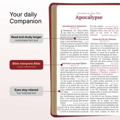 Red Louis Segond French Bible LARGE Print – LSG Bible Rouge en Français by SP