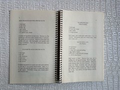 VTG Ashantilly Cookbook Darien Georgia Wire Spiral Bound Haynes Family 200 Pages
