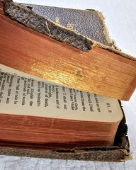 Antique 1901 Holy Bible Revised Version Thomas Nelson Gilt Pages Boxed