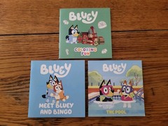 Bluey Book Lot of 18 Storybooks, Coloring Books, UNUSED
