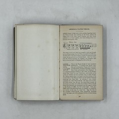 Vintage Field Book Of Wild Birds And Their Music Mathews HC Revised 1921 USA