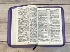 Библия Russian Bible large print Большой формат серебрянный срез​ индексы молния