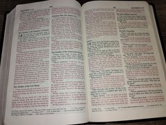 NIV Thinline Bible New International Version 1996 Zondervan Bonded Leather Bound